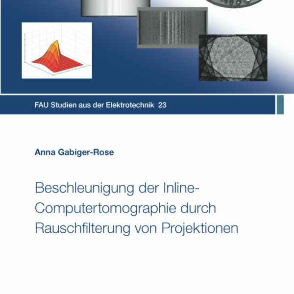 Beschleunigung der Inline-Computertomographie durch Rauschfilterung von Projektionen